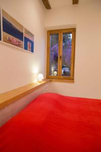 斯普利特Apartment Traces的窗户房间里红色地毯