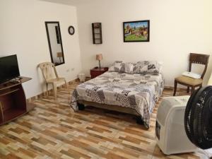 卡利Casa de renta vacacional Andy-Cali -Valle del Cauca的一间卧室配有一张床、一台电视和椅子