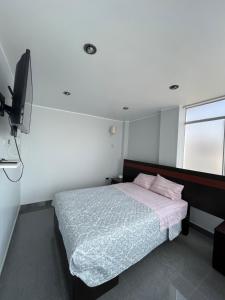 皮斯科HOUSE NAYARAK UBICADO A 15 min EN AUTO DE PARACAS SINO TIENES AUTO PUEDES TOMAR COLECTIVO A 5Soles的一间卧室配有一张床和一台电视