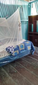 埃尔莱马特Hospedaje y jardin botanico chiltun maya的一间卧室配有一张带蚊帐的床