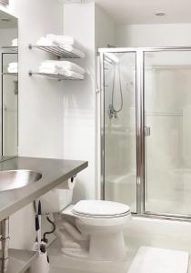 安克雷奇Snob Hollow Inn Downtown Anchorage的白色的浴室设有卫生间和淋浴。