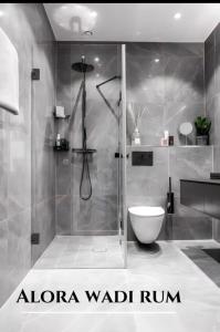 瓦迪拉姆Alora Wadi Rum Luxury的带淋浴和卫生间的浴室。