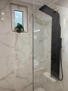 扎金索斯镇Karydakis Properties的浴室里设有玻璃门淋浴