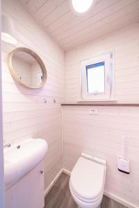 吕贝克Schatzkiste的一间带卫生间、水槽和镜子的浴室