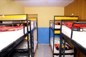 Bunk Hostel Delhi Best Backpacking Accommodation客房内的一张或多张双层床