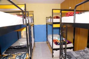 Bunk Hostel Delhi Best Backpacking Accommodation客房内的一张或多张双层床