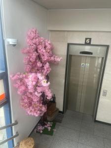 济州市Halla guest house的电梯前有粉红色花的树