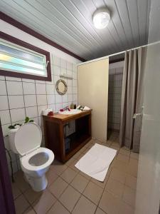 VaitoarePension Hibiscus Taha'a的一间带卫生间和水槽的浴室