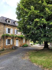 Gîte de France De baudran 3 épis - Gîte de France 6 personnes 424的一座古老的砖房,前面有一棵树