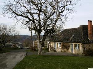 AltillacGîte de France Les embruns 3 épis - Gîte de France 6 personnes 284的石头房子前面的树