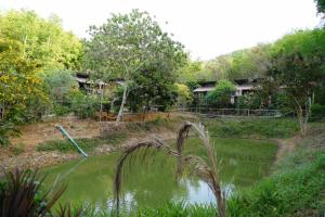 班柯木Koh Mook Bamboo Bungalows的池塘旁小山上的房子