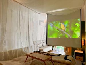 阿格德角Super Mini Loft avec Cinéma et Jardin - Cap d'Agde的一间卧室配有一台电视,屏幕上放着鸟
