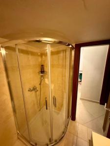 塞萨洛尼基Orion White Tower Apartment的一间客房内的玻璃淋浴间