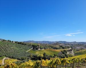 CossignanoAgriturismo Fiorano的享有纳帕山(napa hills)葡萄园的景致