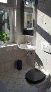 开姆尼茨Mimalou Apartment in Chemnitz的一间带卫生间和水槽的浴室