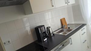 开姆尼茨Mimalou Apartment in Chemnitz的厨房配有水槽和台面