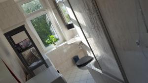 开姆尼茨Mimalou Apartment in Chemnitz的一间带卫生间、窗户和淋浴的浴室