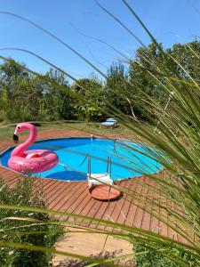 雅戈丁那Morava Garden Resort的一个带粉红色火烈鸟和椅子的游泳池
