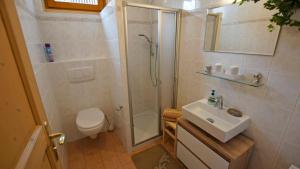 埃尔毛Landhaus Kaiserbach的带淋浴、卫生间和盥洗盆的浴室