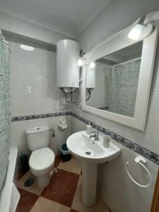 托雷德尔马尔La Biznaga de María的一间带卫生间、水槽和镜子的浴室