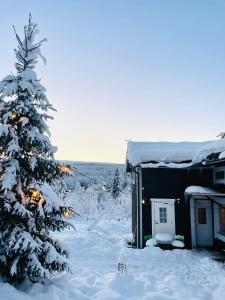 萨伦Lillstugan Sälen by的雪覆盖在雪覆盖的树旁的房子