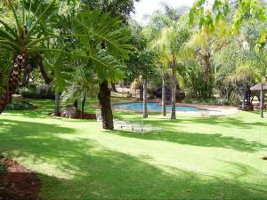 勒斯滕堡Kettle Guest Lodge Rustenburg的绿色庭院,设有游泳池和棕榈树