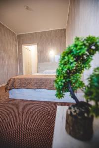 哈斯科沃罗多彼酒店的一间卧室配有一张床和盆栽植物