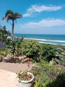 阿曼济姆托蒂Bayview Guest House的种有棕榈树和海洋的花园