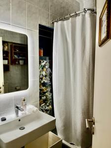 卡尔斯鲁厄Touchdown21的浴室配有淋浴帘和盥洗盆。
