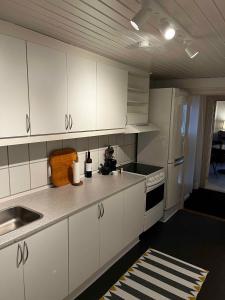 阿灵厄Cozy Holiday Apartment In Allinge的厨房配有白色橱柜和水槽