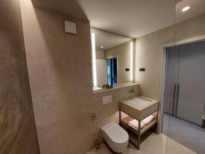 卢布尔雅那Tivoli Boutique Inn的一间带卫生间、水槽和镜子的浴室