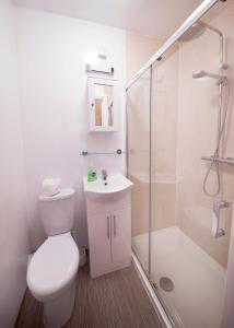 滨海韦斯顿Monaco Hotel的浴室配有卫生间、淋浴和盥洗盆。