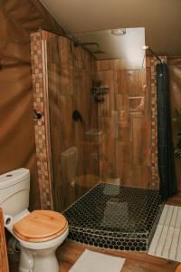 乔治Down-to-Earth Luxury Tented Accommodation的带淋浴和卫生间的浴室