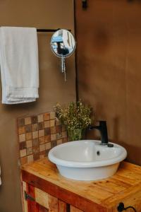 乔治Down-to-Earth Luxury Tented Accommodation的一个带水槽和镜子的木制柜台
