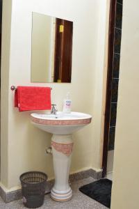 埃尔多雷特Saas Homestay的一间带水槽和镜子的浴室