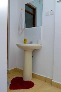 埃尔多雷特Saas Homestay的一间带水槽和镜子的浴室