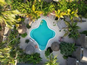马特姆维Boutique Villa Unaweza的棕榈树海滩上游泳池的顶部景色