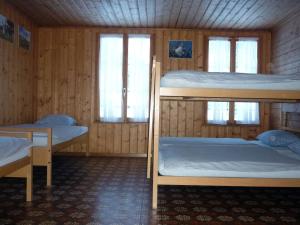 施特歇尔贝格Alpenhof Mountain Lodge的带两张双层床和两扇窗户的房间