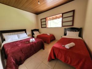伊克斯雷玛Pousada Moinho de Pedra的一间卧室设有两张床和窗户。