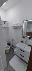 格兰贝伊Cosy studio with all amenities的一间带卫生间、水槽和镜子的浴室