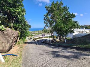 Cudjoe HeadMontserrat Mountain View Retreat的一条有树木和海洋的空路