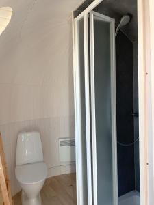 BelauTiny Igloo Bilbo的一间带卫生间和淋浴的浴室