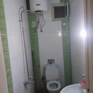 阿布辛贝Adel Hotel的一间带卫生间和水槽的小浴室