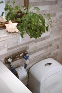 El CoveApartamento New Experience的浴室上方设有植物,配有卫生间。