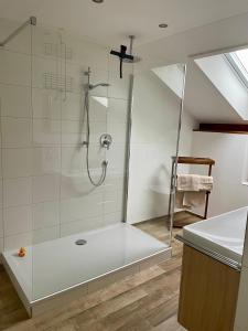 希明格Chiemsee Living的带淋浴的浴室和玻璃门