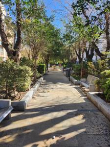 哈恩Apartamento de 3 dormitorios Jardinillos Centro的公园内长着长椅和树木的人行道
