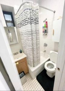 纽约Charming One-Bedroom Apartment in South Chelsea的一间带卫生间和淋浴帘的浴室