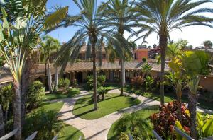 马斯帕洛马斯Suites & Villas by Dunas的棕榈树度假村的空中景致