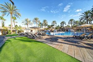 马斯帕洛马斯Suites & Villas by Dunas的一个带椅子和棕榈树的度假游泳池