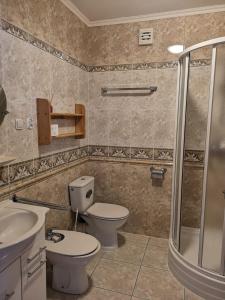 弗瓦迪斯瓦沃沃Margarita Pokoje i Apartamenty的浴室配有卫生间、盥洗盆和淋浴。